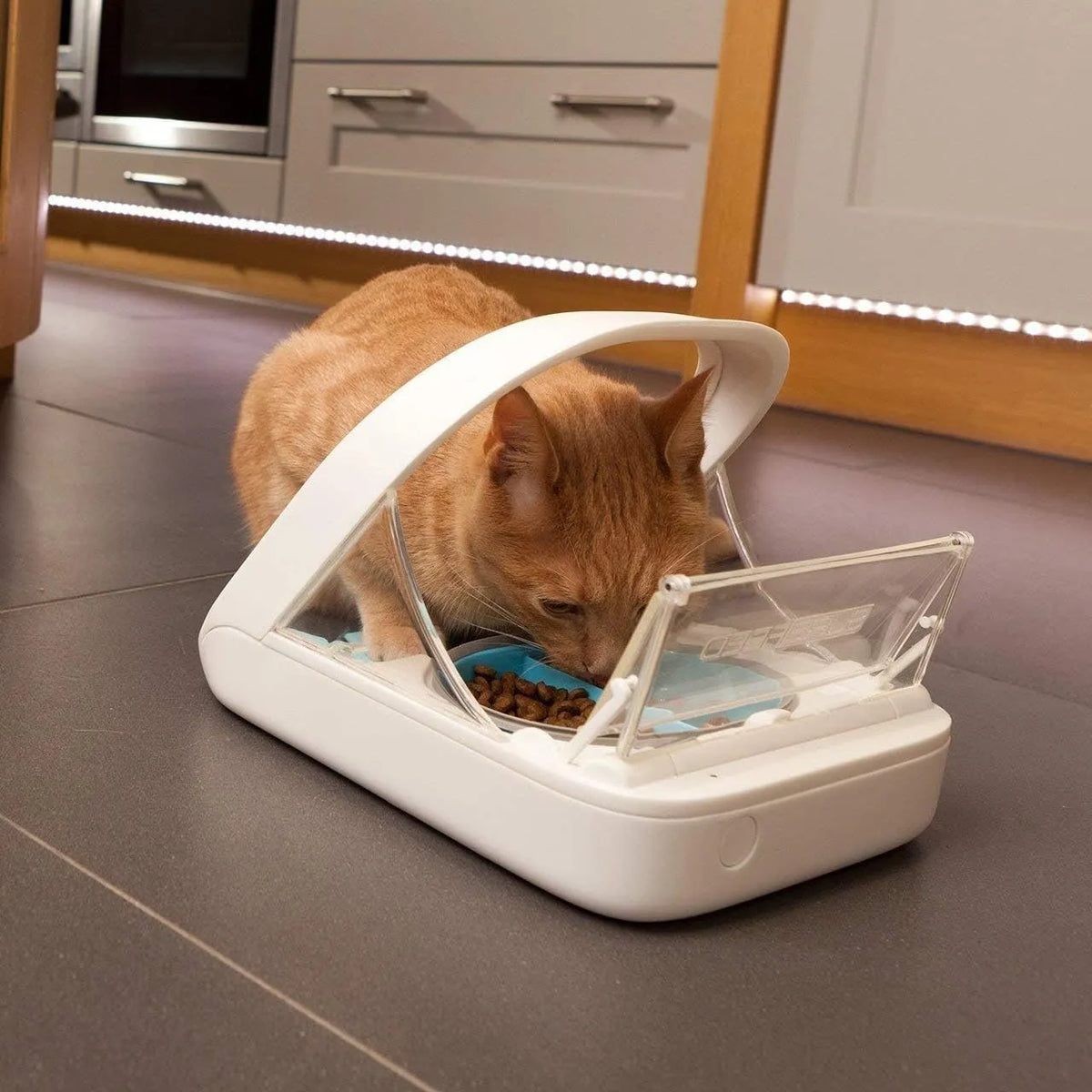 Comedero automático para mascotas - Comedero con microchip para mascotas - MPF001 - Apto para comida húmeda y seca - Toalla para mascotas de regalo de eOutletDeals