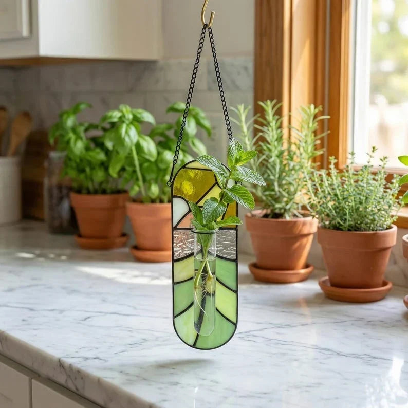 Propagación de plantas en vitral, maceta colgante, florero de pared hidropónico, tubo de ensayo, decoración botánica