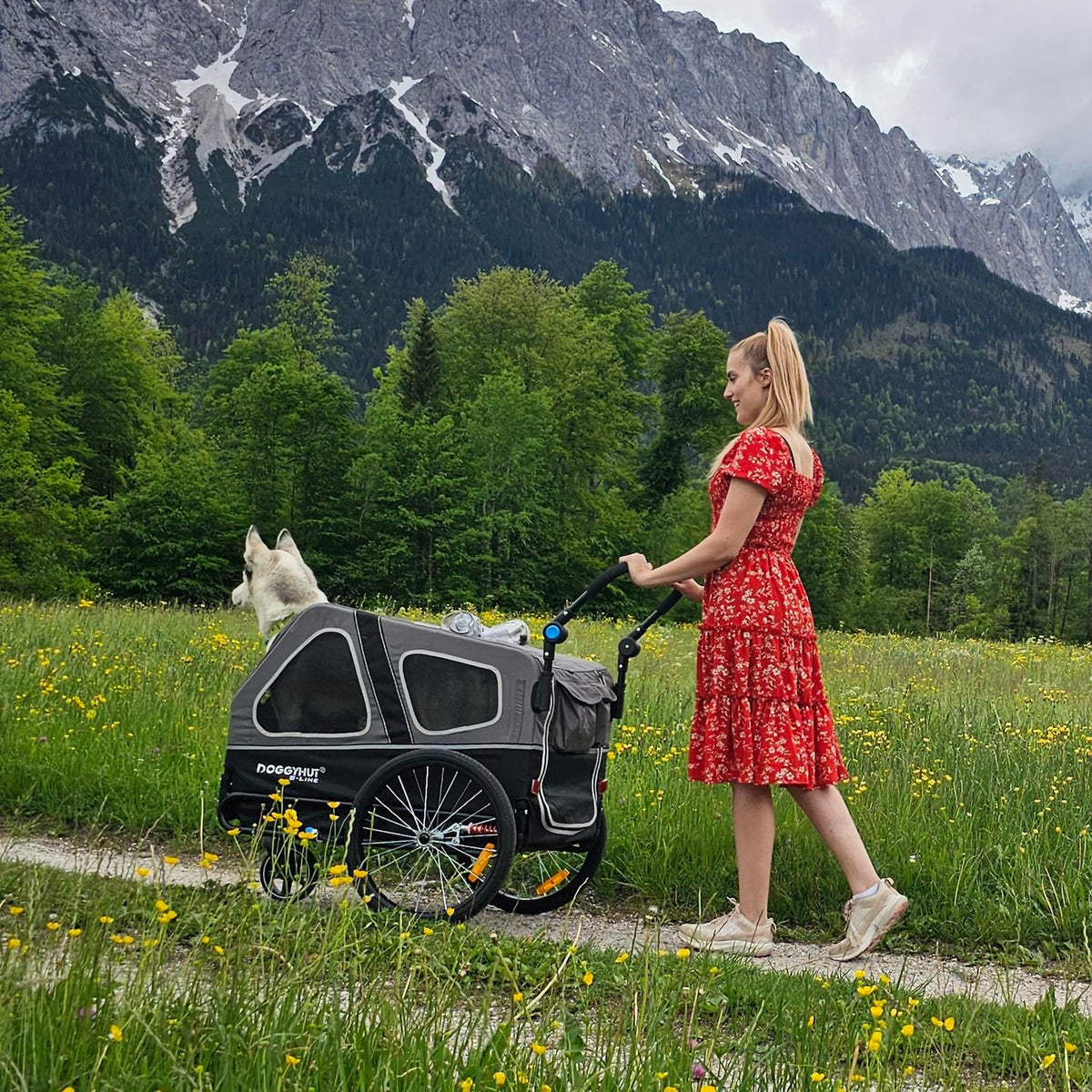 Doggyhut S-Line XL Remolque y cochecito para perros con suspensión 2 en 1, remolque de bicicleta para perros y jogger con suspensión hasta 45 kg