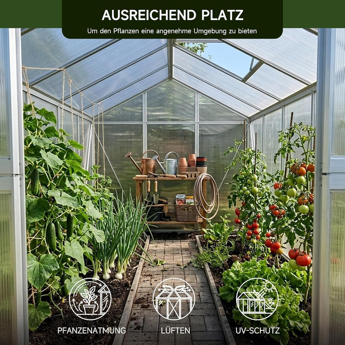 Invernadero de aluminio para jardín | 177*300*193 cm | Versátil: utilizable como invernadero, caseta de jardín, resistente al invierno, para cultivo, caseta para tomates, semillero y caseta para plantas, blanco
