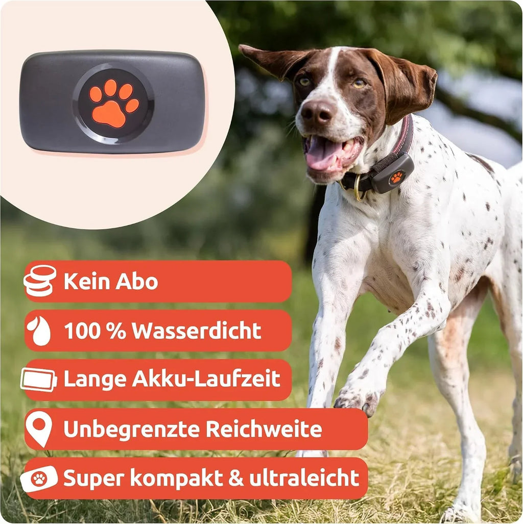 Rastreador GPS para perros sin suscripción, localización por satélite, seguimiento de ubicación en tiempo real, resistente al agua, universal para collar