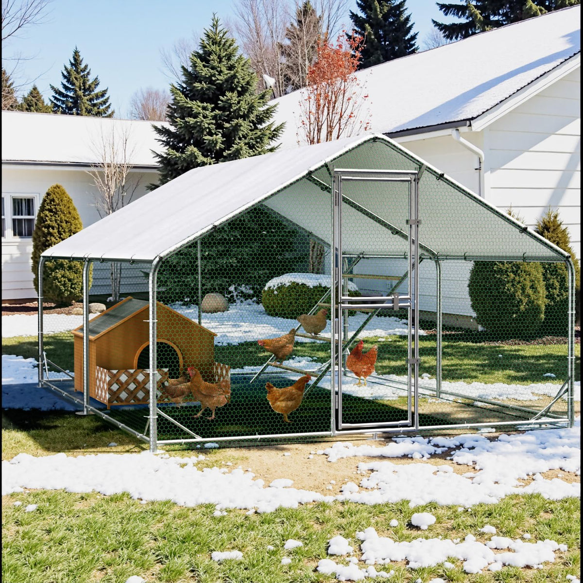 Gallinero de metal con recinto exterior y techo CC3X4X2, 3x4x2 m, resistente a la intemperie, para 10 a 20 gallinas, incluye escalera de descanso y accesorios