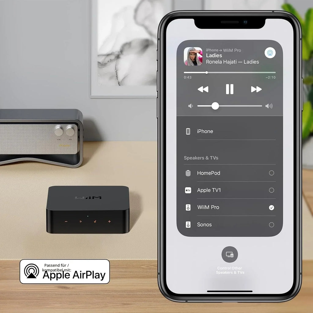 Receptor de audio AirPlay 2 y Chromecast ASR002 WLAN Hi-Res 24 bits 192 kHz multisala Bluetooth Spotify Connect