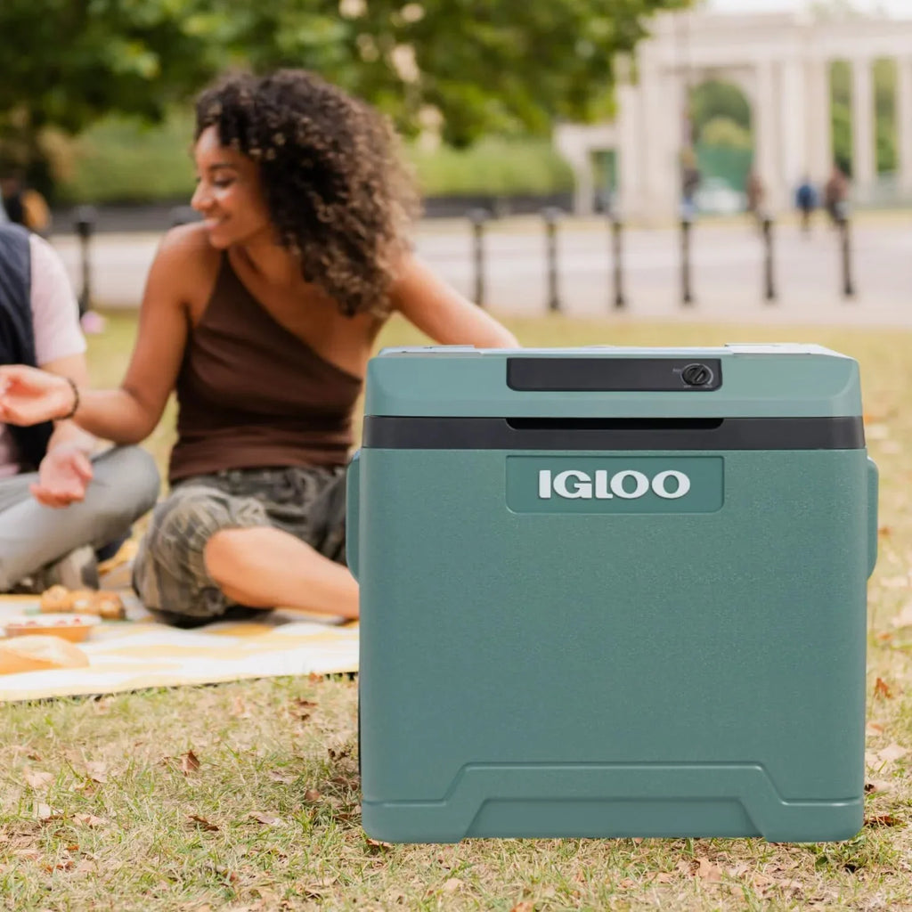 Nevera eléctrica IE42 42L 12V 230V termoeléctrica con ruedas, asa telescópica y modo eco para coche, camping y barco