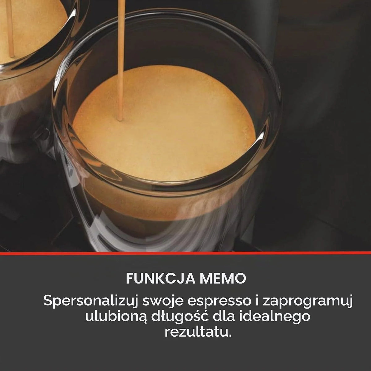 Gaggia Espresso Deluxe EG2111/64 ekspres ciśnieniowy, szary