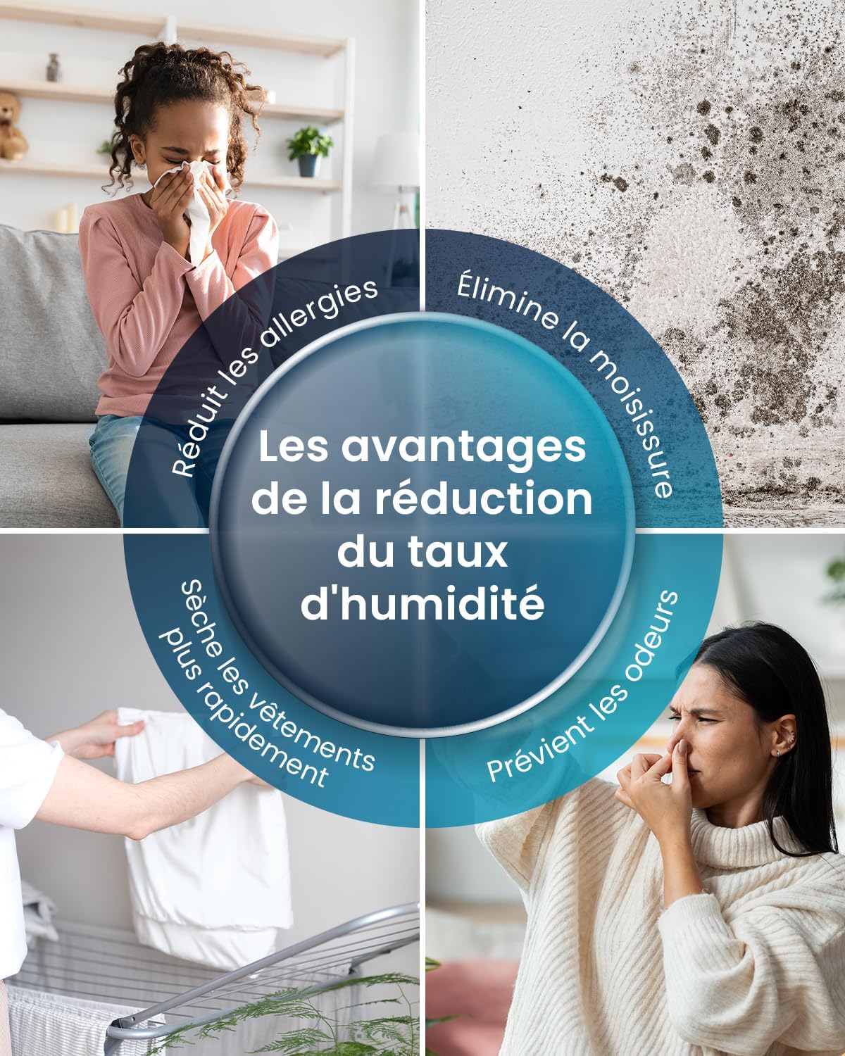 Deshumidificador con compresor inteligente Pro Breeze OmniDry 12L/día, depósito de 2L, temporizador de 24h, secado de ropa - Absorbedor de humedad automático, elimina moho y condensación