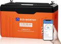 Batería de litio ECO-WORTHY 12V 300Ah LiFePO4 con Bluetooth y pantalla, batería LiFePO4 con BMS de 200A, protección de baja temperatura y máx. 15000 ciclos, 3840Wh 12V para autocaravana, panel solar