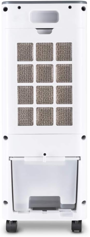Enfriador de aire TROTEC PAE 21, climatizador portátil 3 en 1, enfriador de aire, purificador de aire, ventilador (3 niveles de velocidad, silencioso, función de oscilación)