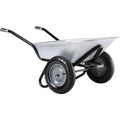 Carretilla Aktiv Excellium 100 doble galvanizada ruedas neumáticas Haemmerlin