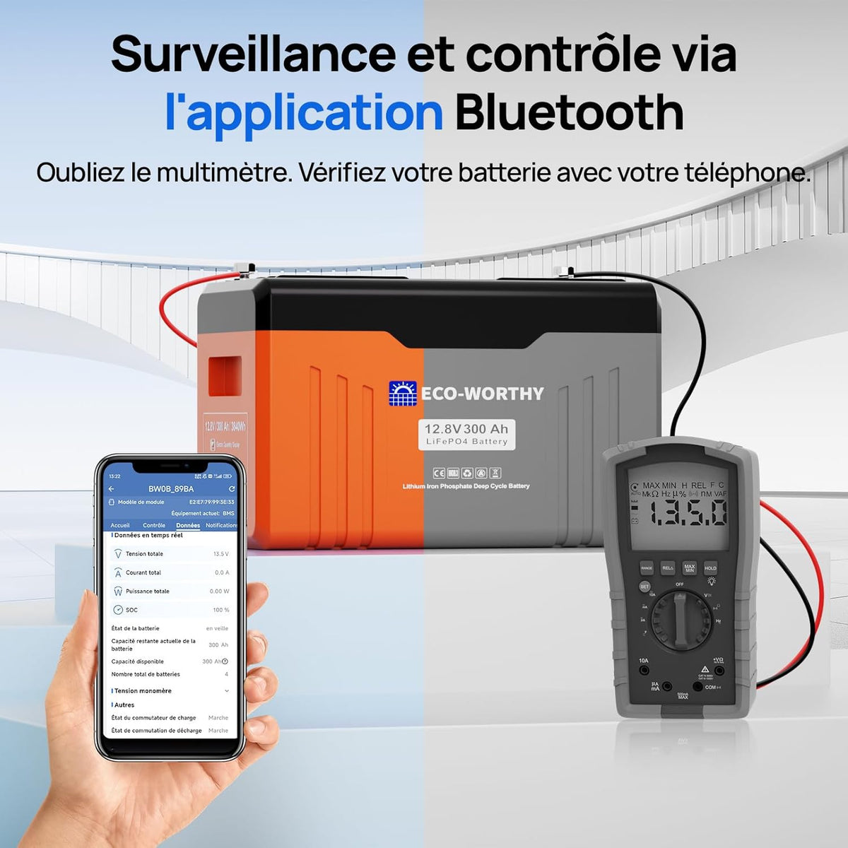 Batería de litio ECO-WORTHY 12V 300Ah LiFePO4 con Bluetooth y pantalla, batería LiFePO4 con BMS de 200A, protección de baja temperatura y máx. 15000 ciclos, 3840Wh 12V para autocaravana, panel solar