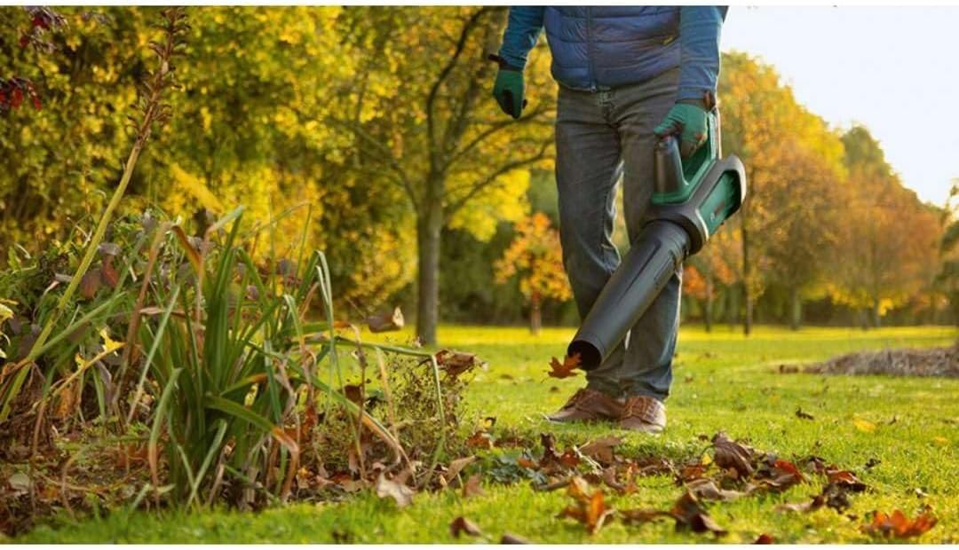 Bosch Home and Garden Akumulatorowa Dmuchawa do Liści 36V-750, 1 Akumulator 2 Ah, System 36V, do Usuwania Zalegających Liści na Dużym Terenie, Niewielka Waga 2.8 kg, Opakowanie Kartooptymalne