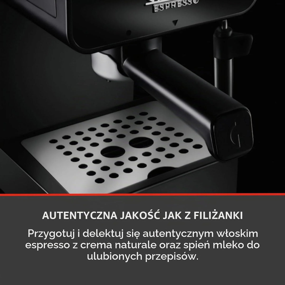 Gaggia Espresso Deluxe EG2111/64 ekspres ciśnieniowy, szary