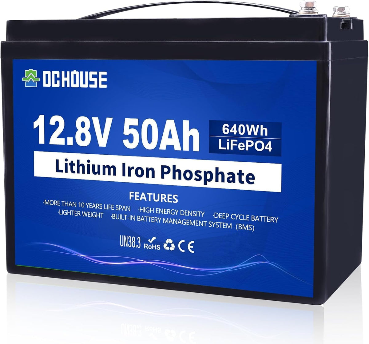 Batería de litio LiFePO4 DCHOUSE 12V 50Ah, BMS integrado, vida útil de 10 años, más de 4000 ciclos, perfecta para barcos, aplicaciones marinas, motores de arrastre, camping, energía solar/eólica
