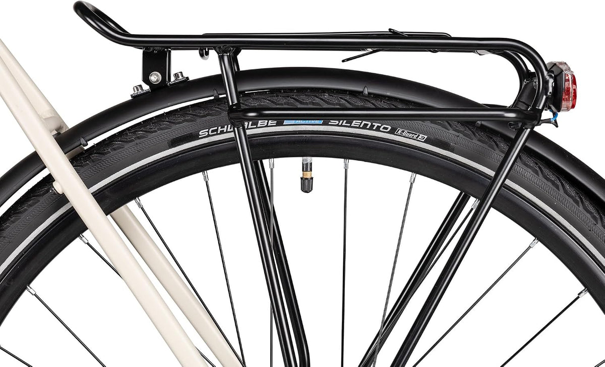 TRS GO | Bicicleta de trekking | Bicicleta para hombre de 28 pulgadas | Transmisión de 21 velocidades | Freno de disco mecánico | incluye equipamiento para carretera
