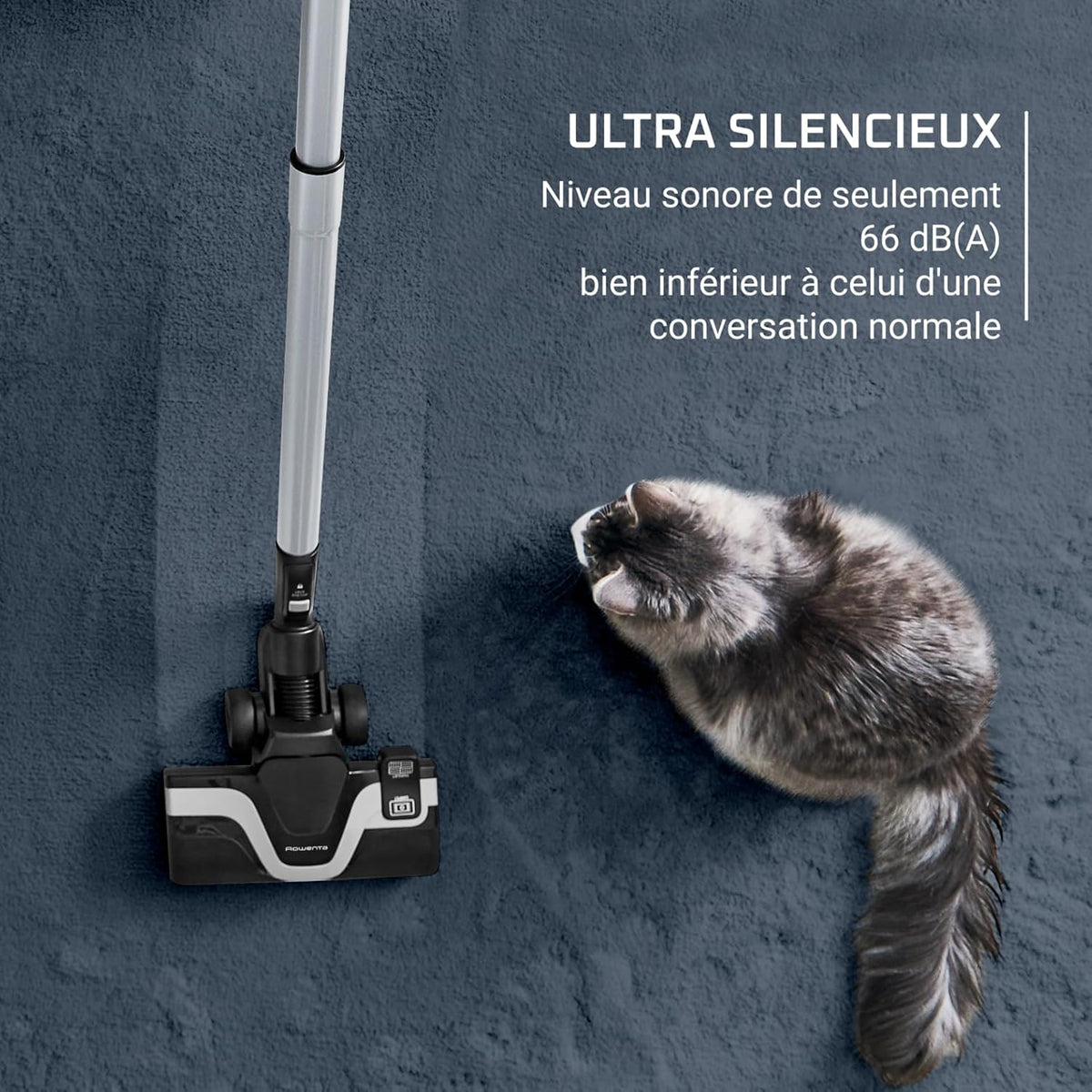 Aspiradora sin bolsa Rowenta, Motor de consumo ultra bajo, Ecodiseño, Sistema de filtración de alta eficiencia, Ultra silenciosa, Fabricada en Francia, Green Force Cyclonic Effitech+ RO7C66EA
