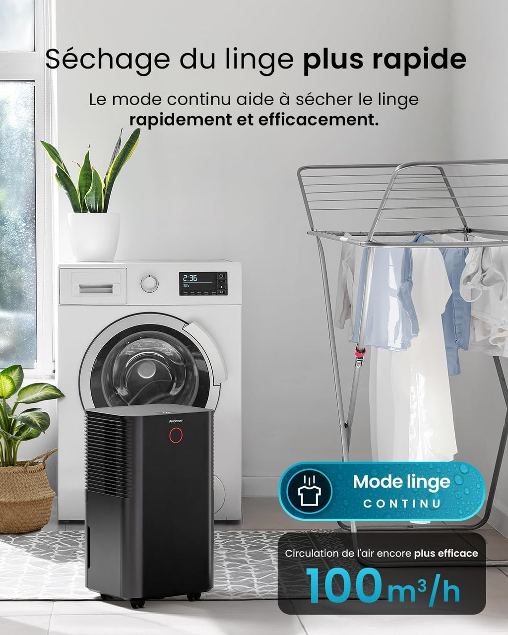 Deshumidificador con compresor inteligente Pro Breeze OmniDry 12L/día, depósito de 2L, temporizador de 24h, secado de ropa - Absorbedor de humedad automático, elimina moho y condensación