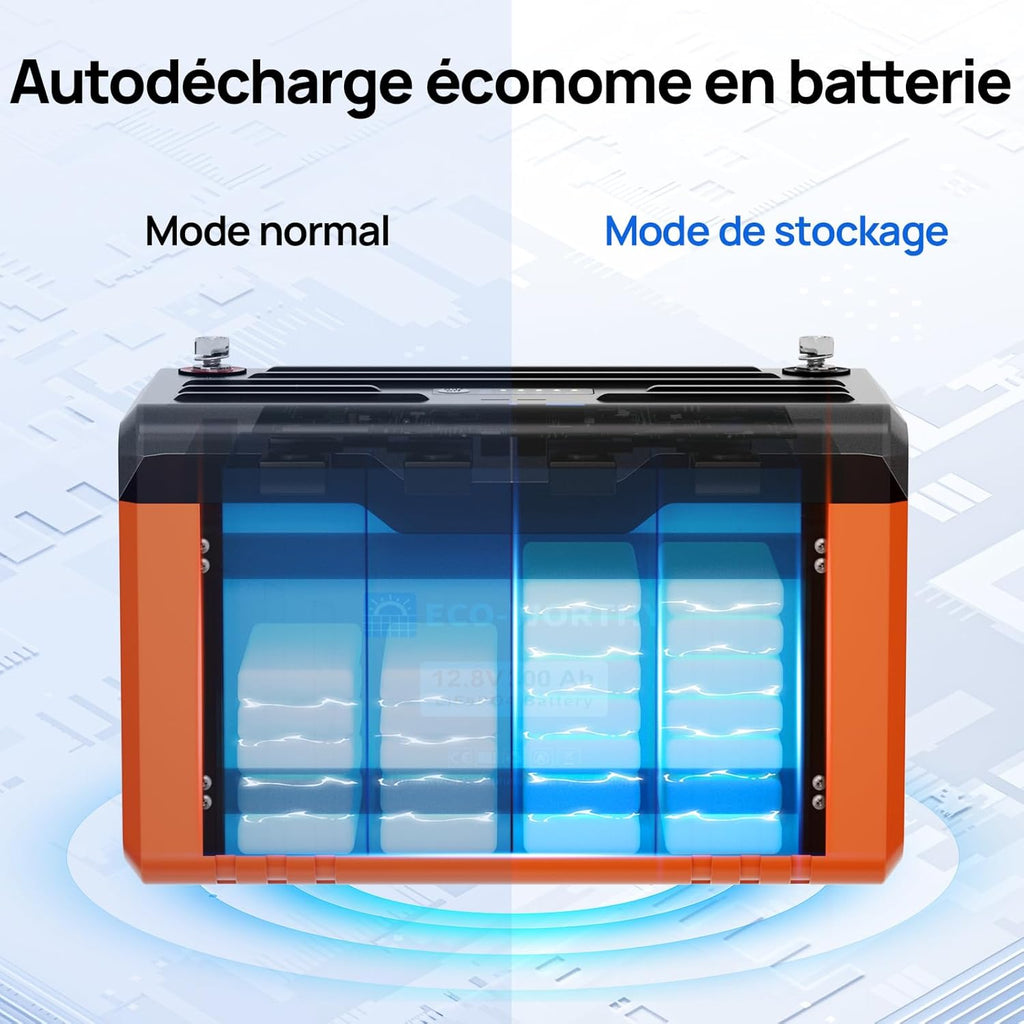 Batería de litio ECO-WORTHY 12V 300Ah LiFePO4 con Bluetooth y pantalla, batería LiFePO4 con BMS de 200A, protección de baja temperatura y máx. 15000 ciclos, 3840Wh 12V para autocaravana, panel solar