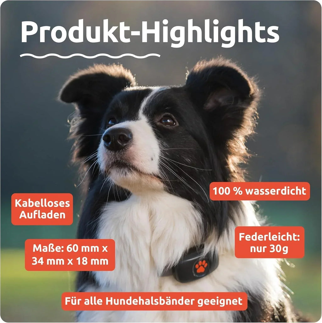 Rastreador GPS para perros sin suscripción, localización por satélite, seguimiento de ubicación en tiempo real, resistente al agua, universal para collar