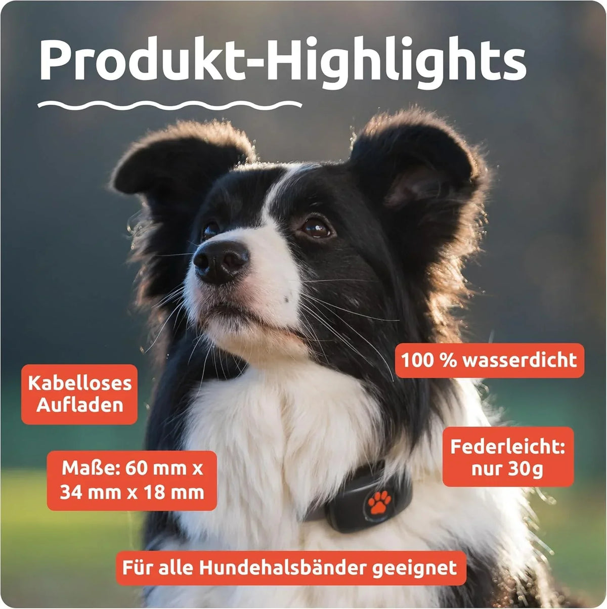 Rastreador GPS para perros sin suscripción, localización por satélite, seguimiento de ubicación en tiempo real, resistente al agua, universal para collar