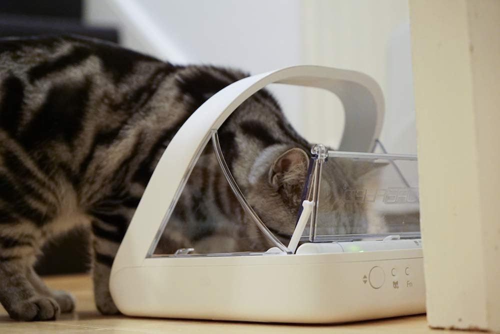 Comedero automático con microchip para mascotas Sure Petcare SureFeed, con tapa de cierre hermético, compatible con colgante de collar RFID, apto para comida húmeda y seca, funciona con pilas, blanco