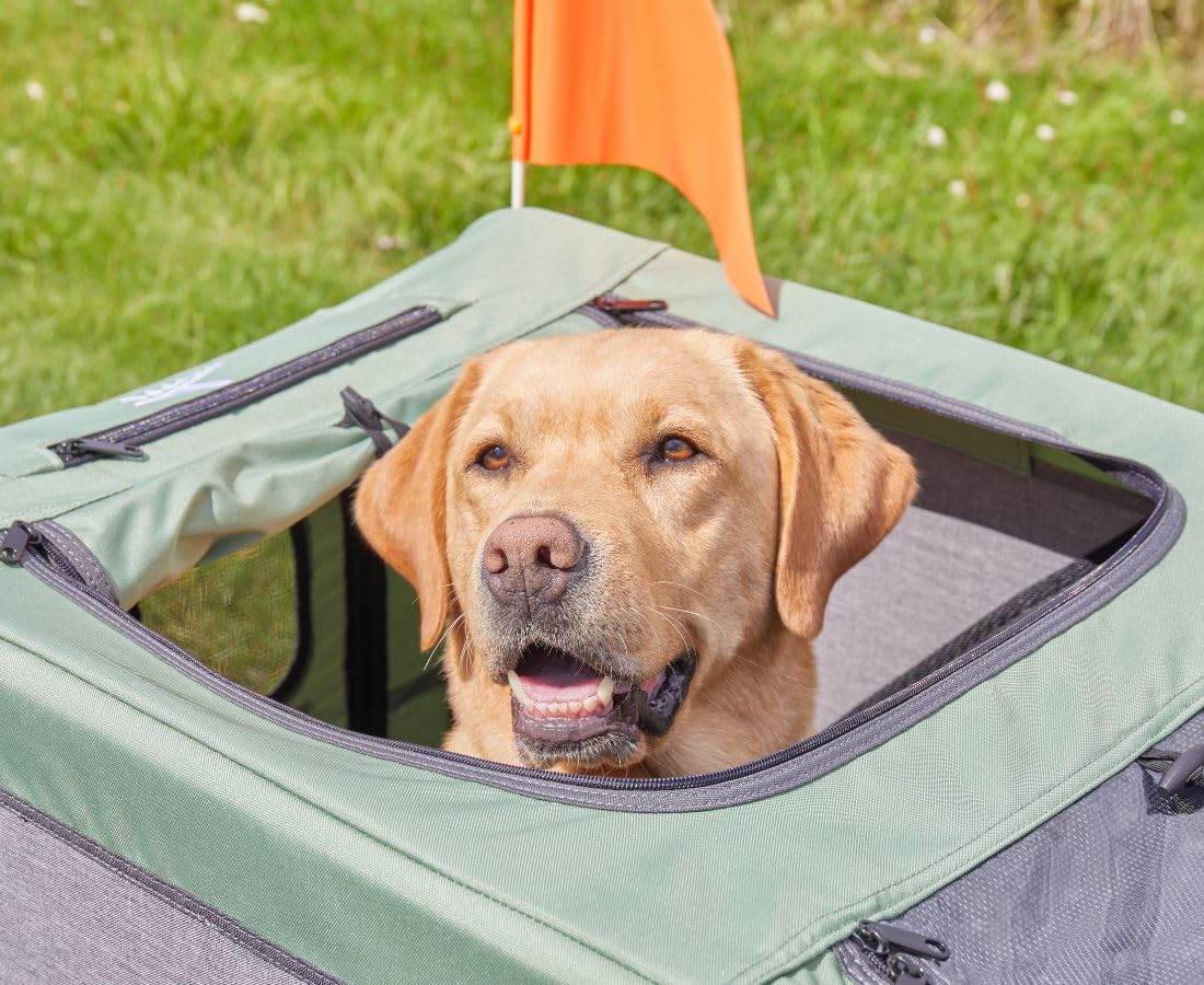 Remolque para bicicletas para perros Knuffelwuff Cruvado 45 kg, plegable, ligero, correa de seguridad, reflectores, enganche universal