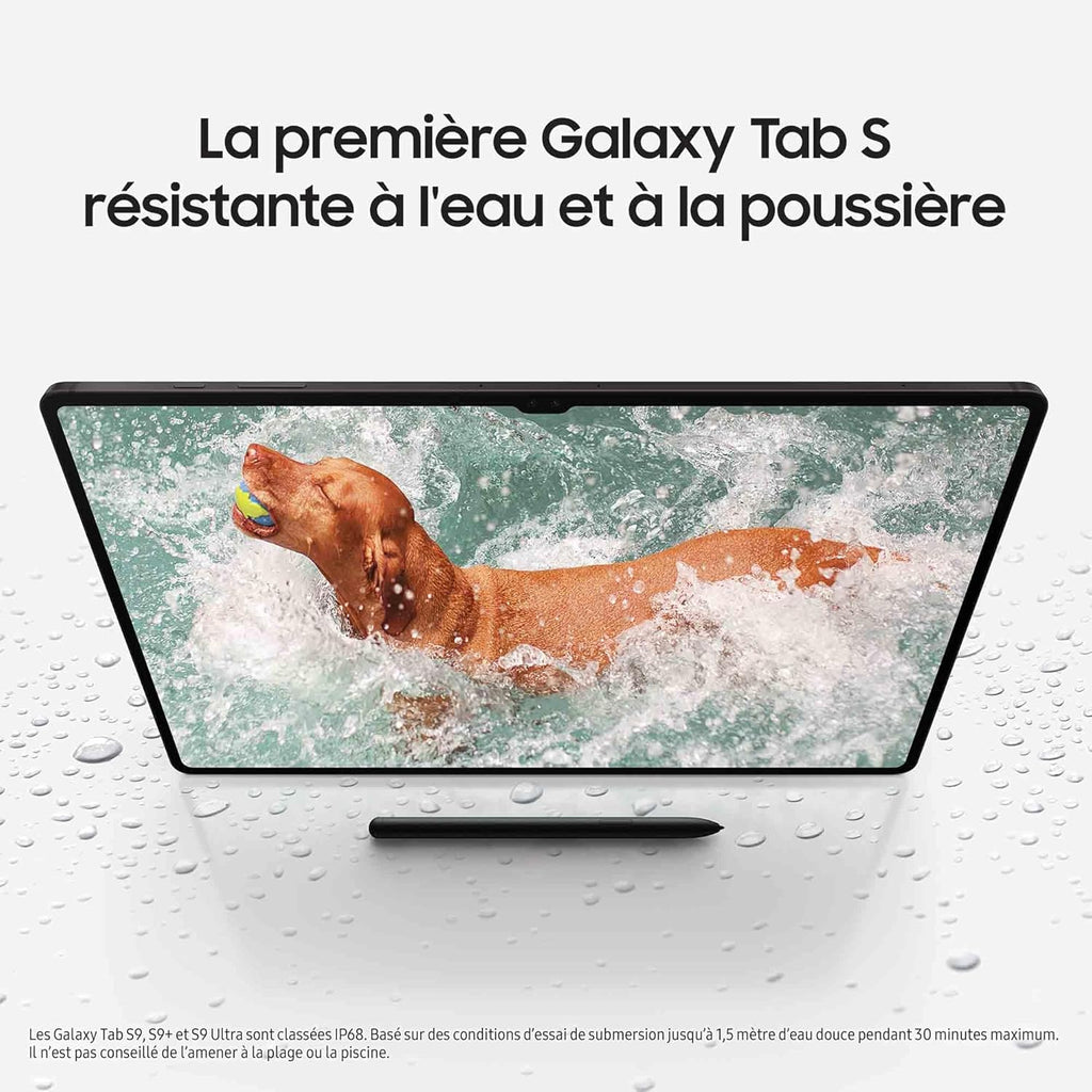 Tablette Android Samsung Galaxy Tab S9+, 12,4", 256 Go de stockage, lecteur MicroSD, Wi-Fi, S Pen inclus, anthracite, chargeur secteur rapide 25 W inclus, exclusivité Amazon version FR