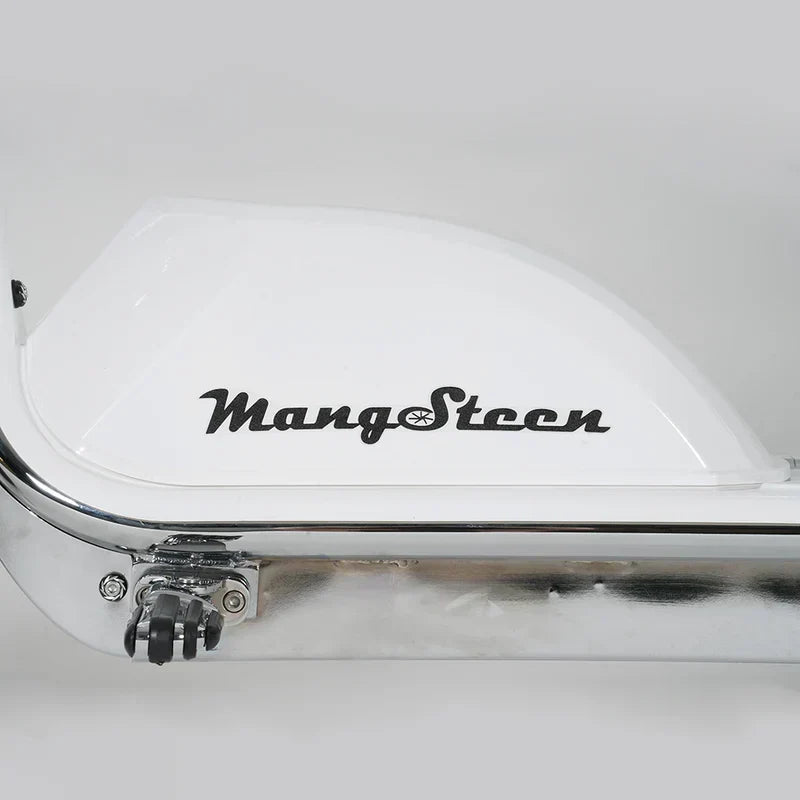 Scooter eléctrico Mangosteen CityCoco M1PS – Potente chopper eléctrico