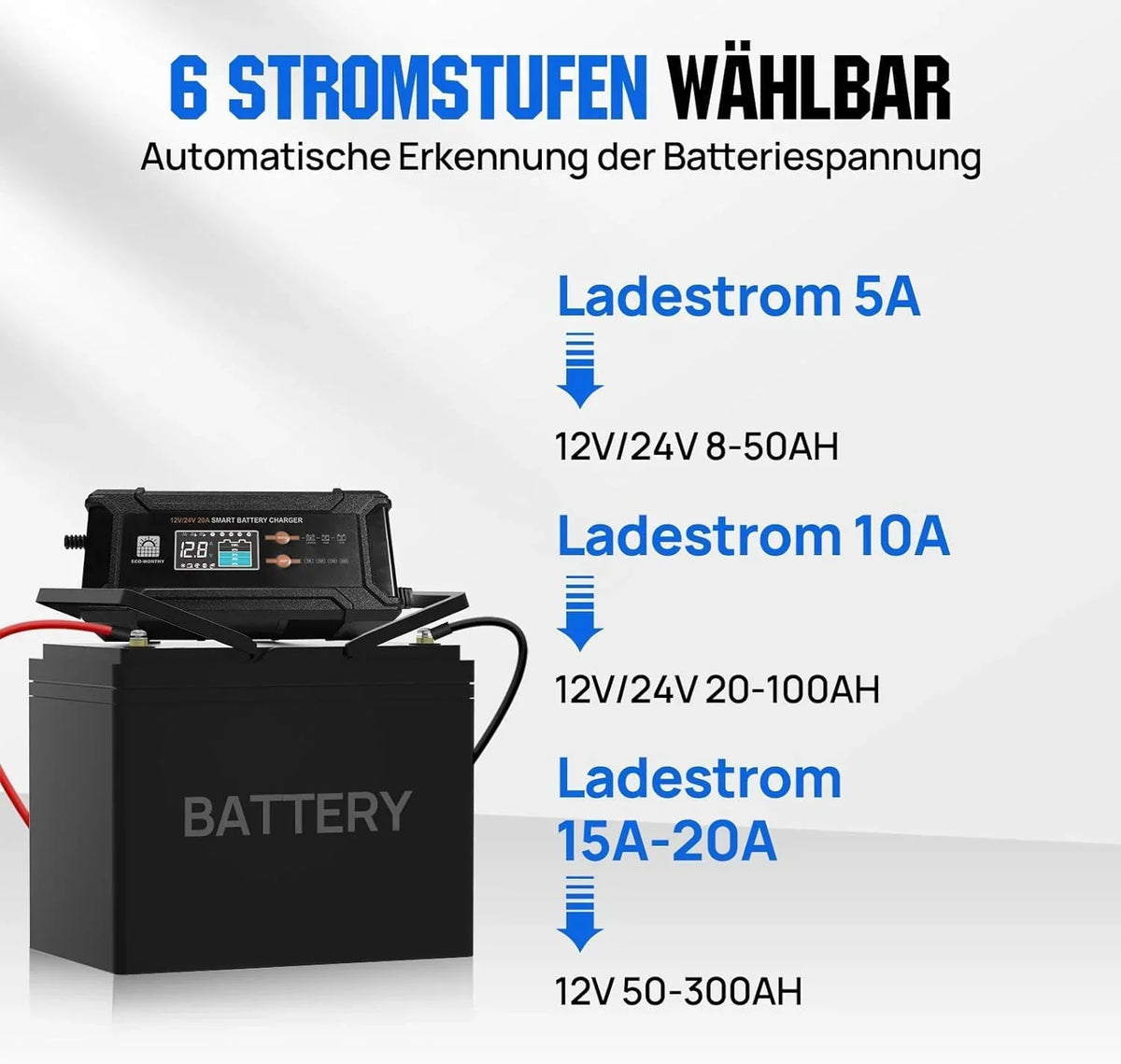 ECO-WORTHY LiFePO4 12V 100Ah Bluetooth con cargador de 12/24V 20A, BMS, protección contra bajas temperaturas para autocaravana, barco y caravana