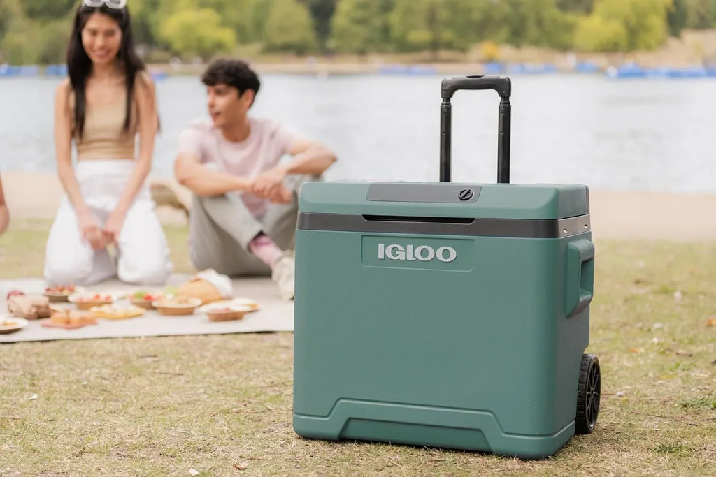 Nevera eléctrica IE42 42L 12V 230V termoeléctrica con ruedas, asa telescópica y modo eco para coche, camping y barco