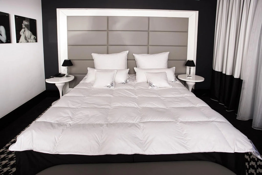 Mayaadi-Home HS85 Kołdra puchowa zimowa kołdra kołdra wierzchnia kołdra pikowana 70% puch 30% pierze 155 x 220 cm 2200 g wypełnienie bardzo ciepła