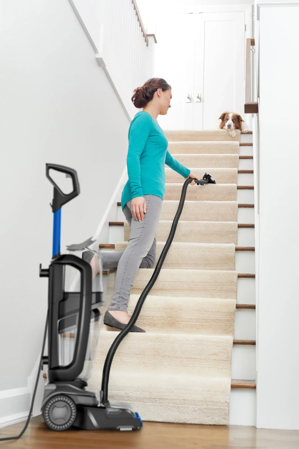 Limpiador de alfombras Revolution HydroSteam 3670N 1300 W limpiador a vapor aspirador en seco y húmedo tecnología HydroSteam