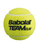 Piłki tenisowe Babolat Team Clay (4 szt.)